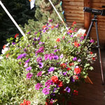 Imagine gazing at the mountains on a sunny morning from this deck! 